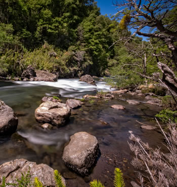 Spring Creeks