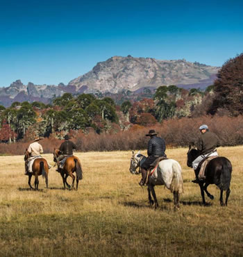 Horseback riding
